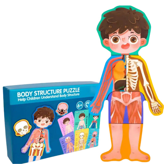 Human body puzzle - Plushie Plays