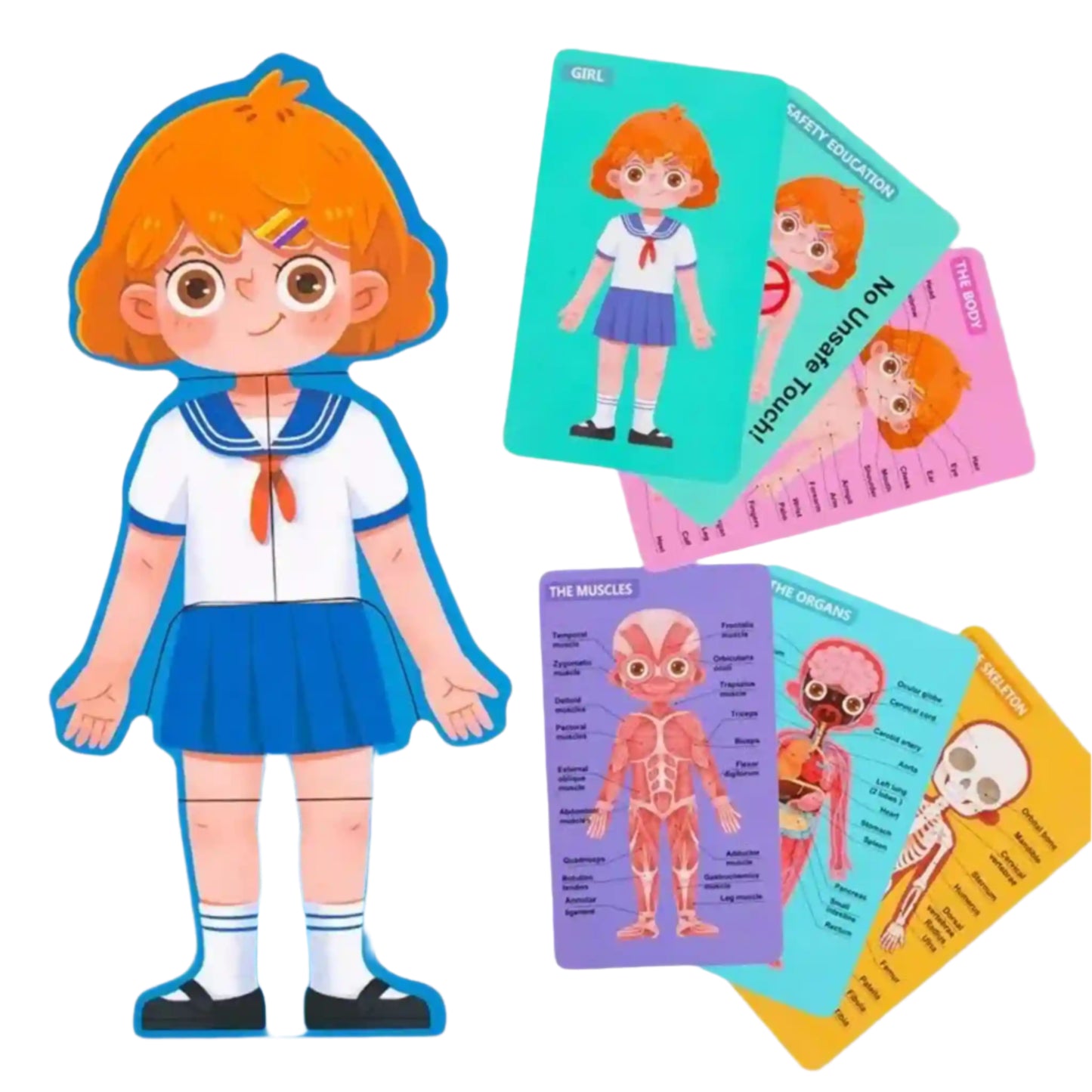 Human body puzzle - Plushie Plays