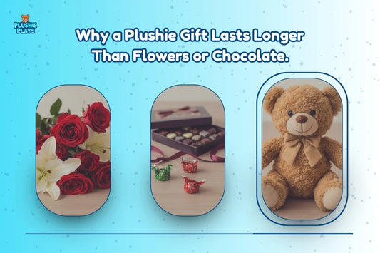 Why a Plushie Gift Lasts Longer Than Flowers or Chocolate