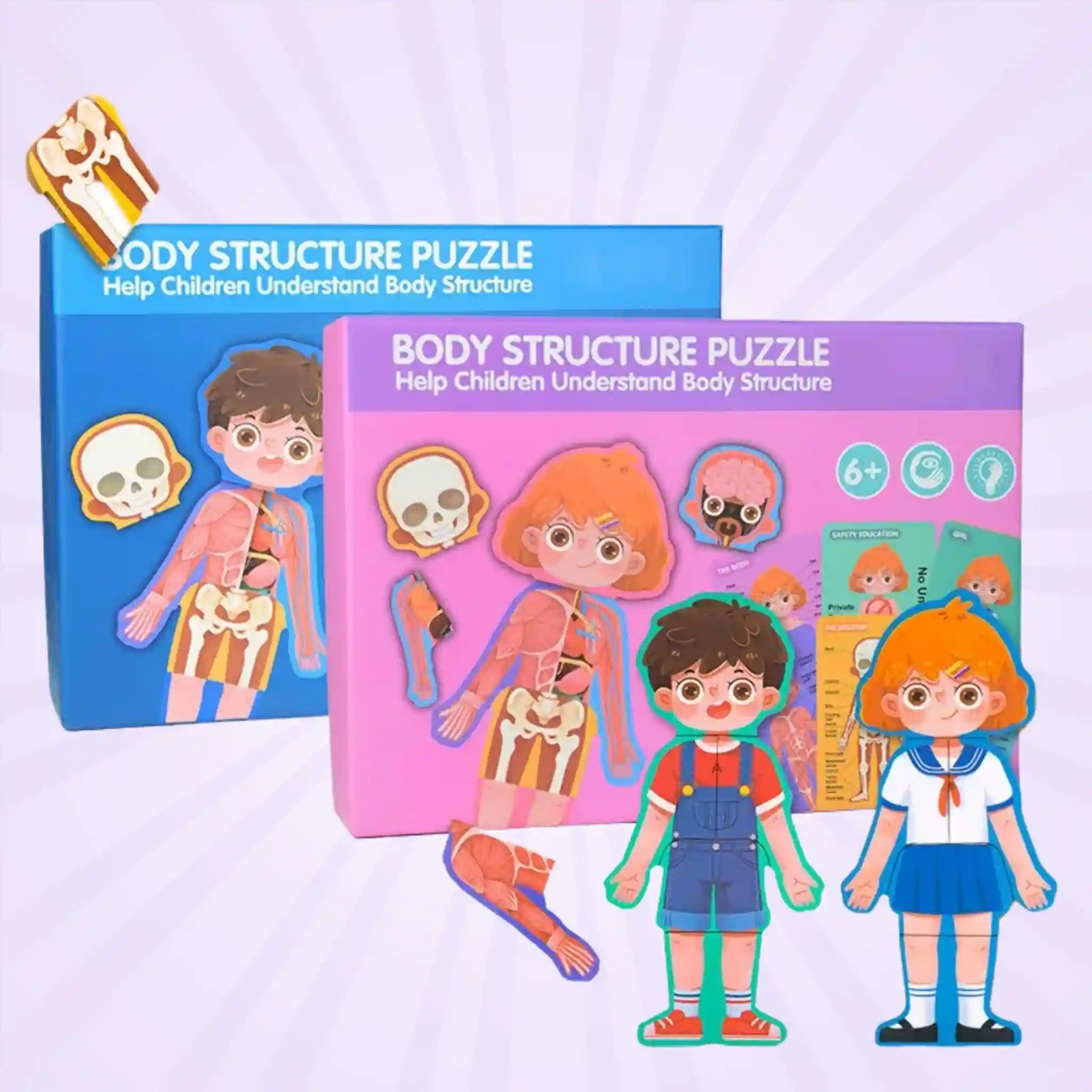 Body Structure Puzzle Educational Toy - Anatomy Puzzle For Kids