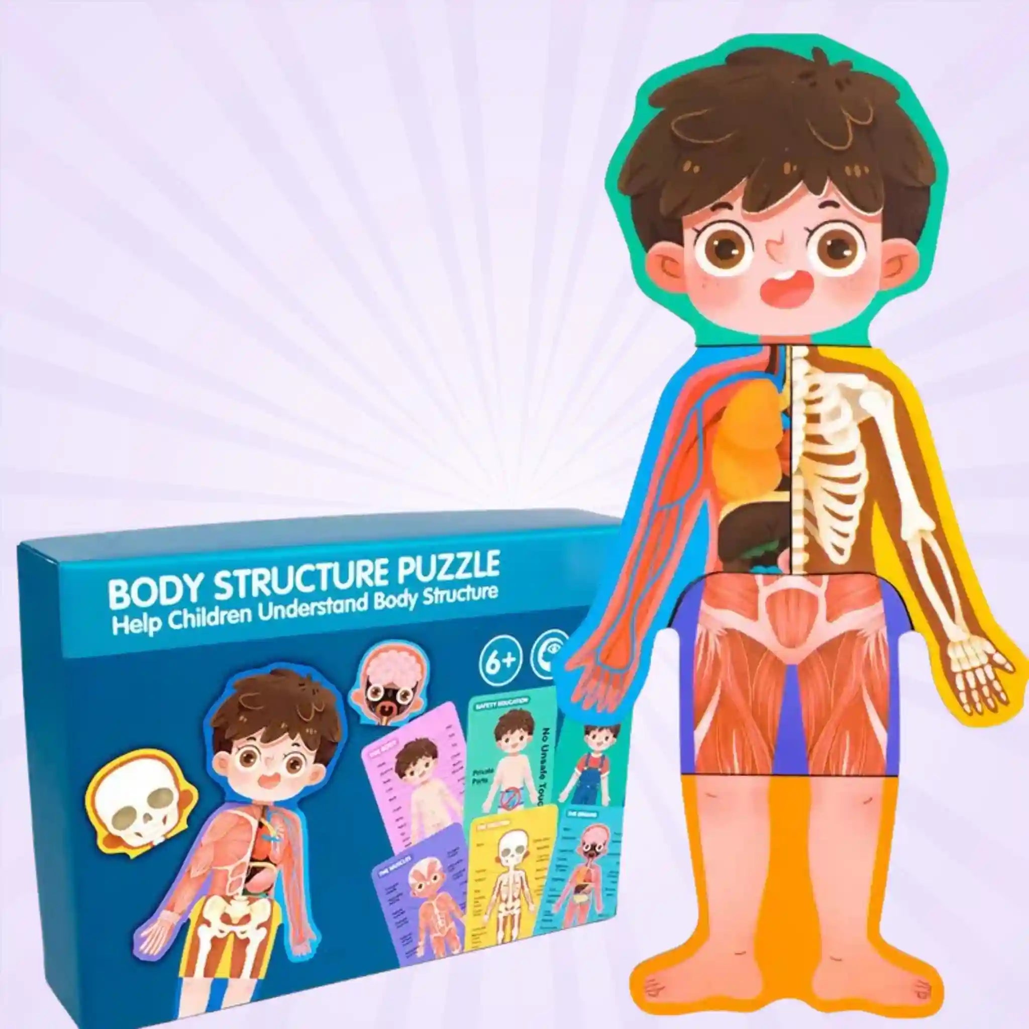 Body Structure Puzzle Educational Toy - Anatomy Puzzle For Kids