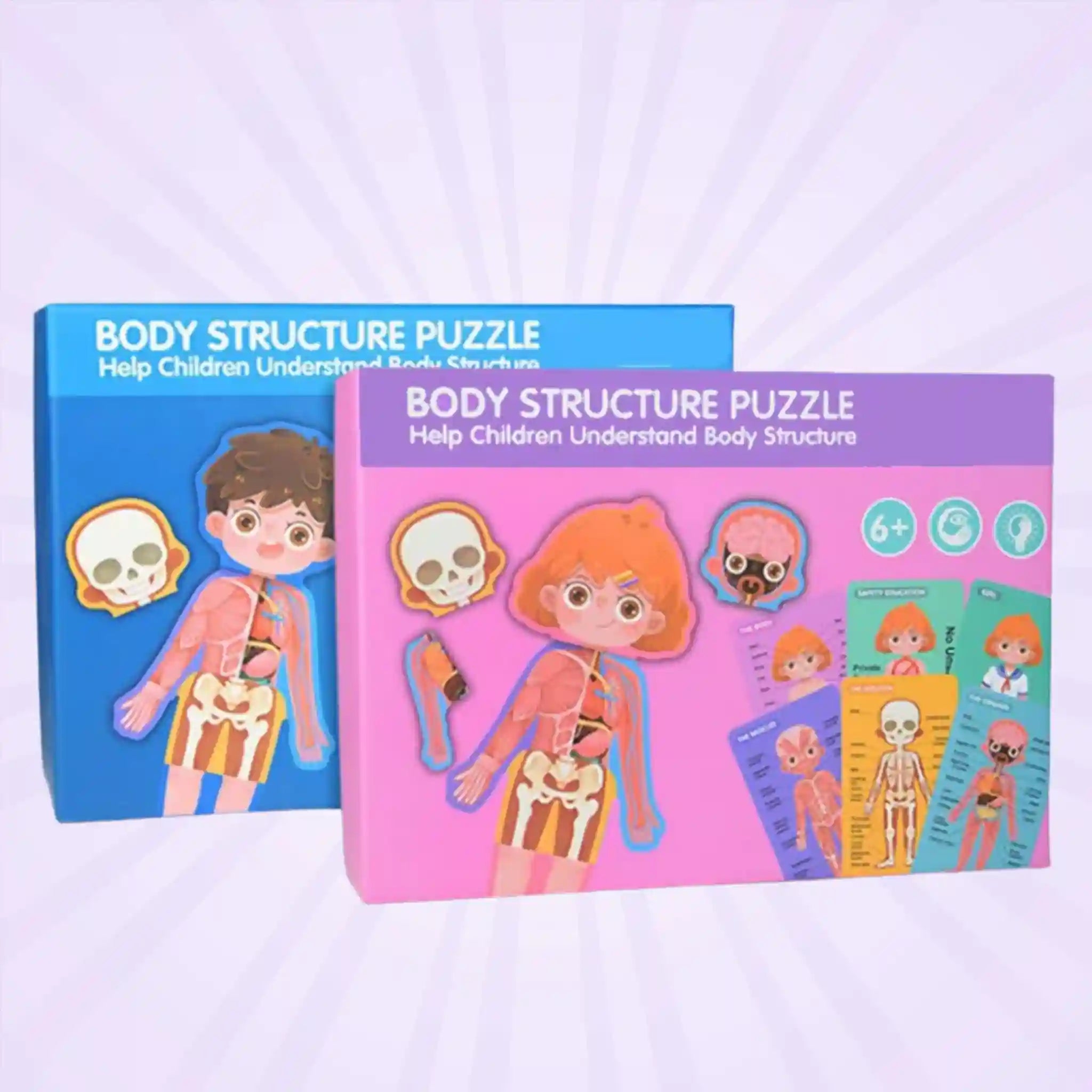 Body Structure Puzzle Educational Toy - Anatomy Puzzle For Kids